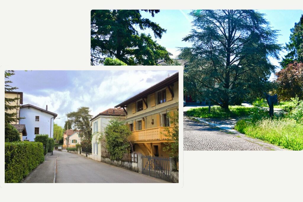 Vie à Pregny-Chambésy