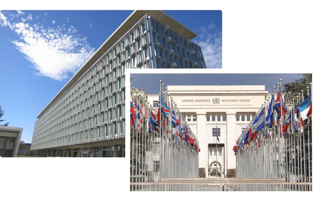 Organisations internationales immobilier Pregny-Chambésy