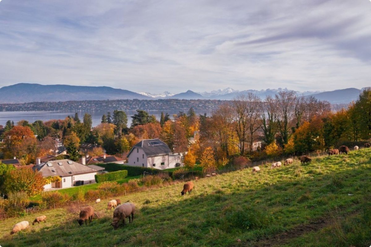 Commune Chambésy immobilier